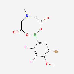 molecular formula C12H11BBrF2NO5 B8246941 2-(5-Bromo-2,3-difluoro-4-methoxyphenyl)-6-methyl-1,3,6,2-dioxazaborocane-4,8-dione 