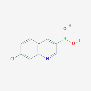molecular formula C9H7BClNO2 B8248037 (7-Chloroquinolin-3-yl)boronic acid 