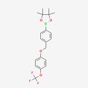 molecular formula C20H22BF3O4 B8248067 4,4,5,5-Tetramethyl-2-(4-((4-(trifluoromethoxy)phenoxy)methyl)phenyl)-1,3,2-dioxaborolane 