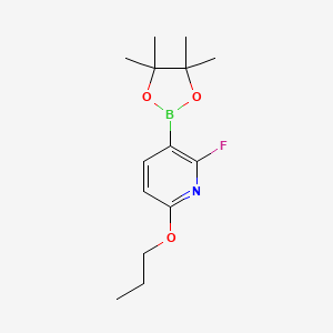 molecular formula C14H21BFNO3 B8248108 2-Fluoro-6-propoxy-3-(4,4,5,5-tetramethyl-1,3,2-dioxaborolan-2-YL)pyridine 