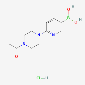 molecular formula C11H17BClN3O3 B8248120 (6-(4-Acetylpiperazin-1-yl)pyridin-3-yl)boronic acid hydrochloride 