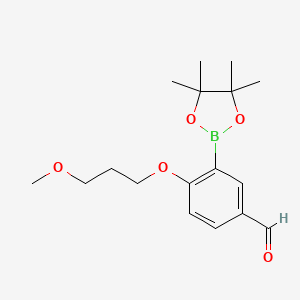 molecular formula C17H25BO5 B8248129 4-(3-Methoxypropoxy)-3-(4,4,5,5-tetramethyl-1,3,2-dioxaborolan-2-yl)benzaldehyde 