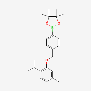 molecular formula C23H31BO3 B8248168 2-(4-((2-Isopropyl-5-methylphenoxy)methyl)phenyl)-4,4,5,5-tetramethyl-1,3,2-dioxaborolane 