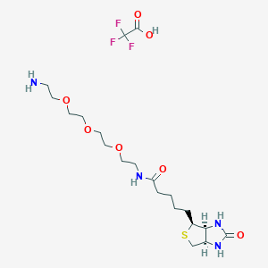 N-Biotinyl-3,6,9-trioxaundecane-1,11-diamine trifluoroacetate salt