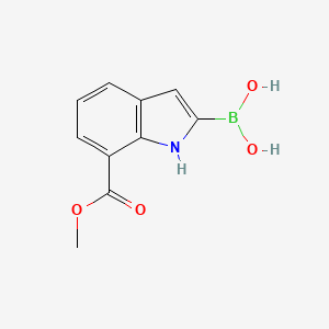 molecular formula C10H10BNO4 B8248847 (7-(Methoxycarbonyl)-1H-indol-2-yl)boronic acid 