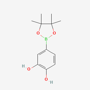 molecular formula C12H17BO4 B8248851 4-(4,4,5,5-Tetramethyl-1,3,2-dioxaborolan-2-yl)benzene-1,2-diol 