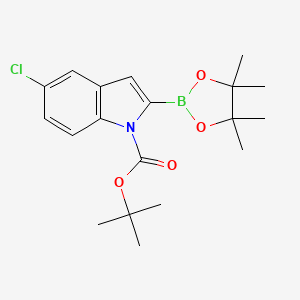 molecular formula C19H25BClNO4 B8249009 tert-Butyl 5-chloro-2-(4,4,5,5-tetramethyl-1,3,2-dioxaborolan-2-yl)-1H-indole-1-carboxylate 