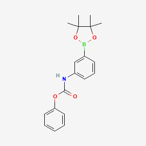 molecular formula C19H22BNO4 B8249015 Phenyl (3-(4,4,5,5-tetramethyl-1,3,2-dioxaborolan-2-yl)phenyl)carbamate 