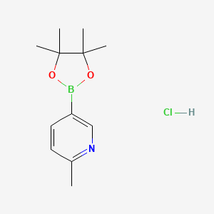 molecular formula C12H19BClNO2 B8249062 2-Methyl-5-(4,4,5,5-tetramethyl-1,3,2-dioxaborolan-2-yl)pyridine hydrochloride 