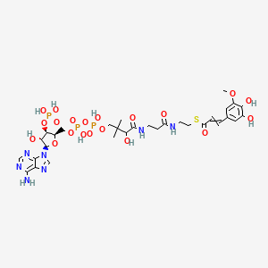molecular formula C31H44N7O20P3S B8249742 S-[2-[3-[[4-[[[(2R,3R,4R,5R)-5-(6-aminopurin-9-yl)-4-hydroxy-3-phosphonooxyoxolan-2-yl]methoxy-hydroxyphosphoryl]oxy-hydroxyphosphoryl]oxy-2-hydroxy-3,3-dimethylbutanoyl]amino]propanoylamino]ethyl] 3-(3,4-dihydroxy-5-methoxyphenyl)prop-2-enethioate 