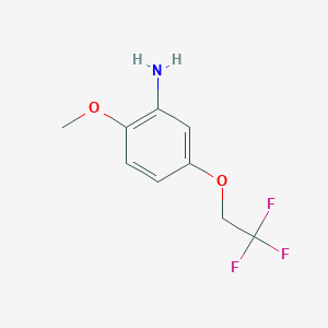 molecular formula C9H10F3NO2 B8250965 2-Methoxy-5-(2,2,2-trifluoroethoxy)aniline 