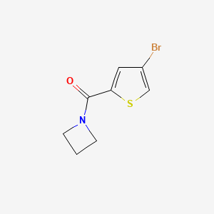 molecular formula C8H8BrNOS B8251035 Azetidin-1-yl(4-bromothiophen-2-yl)methanone 