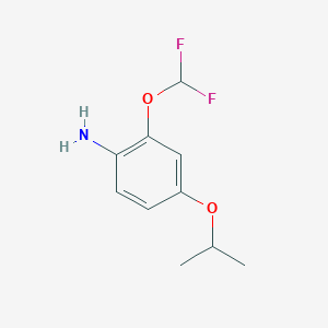molecular formula C10H13F2NO2 B8252325 2-(Difluoromethoxy)-4-propan-2-yloxyaniline 