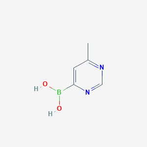 molecular formula C5H7BN2O2 B8252751 6-Methylpyrimidin-4-ylboronic acid 