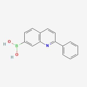 molecular formula C15H12BNO2 B8252805 (2-Phenylquinolin-7-yl)boronic acid 