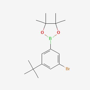 molecular formula C16H24BBrO2 B8252818 2-(3-Bromo-5-(tert-butyl)phenyl)-4,4,5,5-tetramethyl-1,3,2-dioxaborolane 