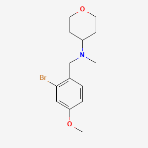 molecular formula C14H20BrNO2 B8253076 N-(2-Bromo-4-methoxybenzyl)-N-methyltetrahydro-2H-pyran-4-amine 