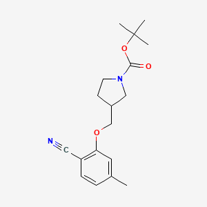 molecular formula C18H24N2O3 B8253181 tert-Butyl 3-((2-cyano-5-methylphenoxy)methyl)pyrrolidine-1-carboxylate 