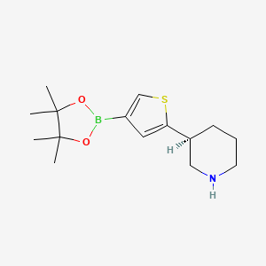 (3S)-3-[4-(4,4,5,5-tetramethyl-1,3,2-dioxaborolan-2-yl)thiophen-2-yl]piperidine