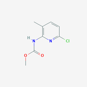 molecular formula C8H9ClN2O2 B8254467 methyl N-(6-chloro-3-methylpyridin-2-yl)carbamate 