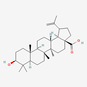 molecular formula C30H48O3 B8254933 (3aS,5aR,5bR,7aR,9S,11aR,11bR,13aR,13bR)-9-hydroxy-5a,5b,8,8,11a-pentamethyl-1-prop-1-en-2-yl-1,2,3,4,5,6,7,7a,9,10,11,11b,12,13,13a,13b-hexadecahydrocyclopenta[a]chrysene-3a-carboxylic acid 