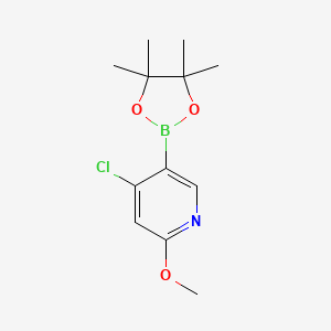 4-Chloro-2-methoxy-5-(tetramethyl-1,3,2-dioxaborolan-2-yl)pyridine