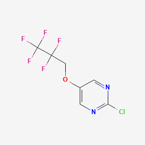 molecular formula C7H4ClF5N2O B8255459 2-Chloro-5-(2,2,3,3,3-pentafluoropropoxy)pyrimidine 