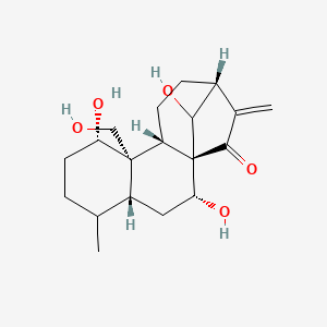 molecular formula C19H28O5 B8256360 (1R,2R,4R,8S,9R,10S,13R)-2,8,16-trihydroxy-9-(hydroxymethyl)-5-methyl-14-methylidenetetracyclo[11.2.1.01,10.04,9]hexadecan-15-one 