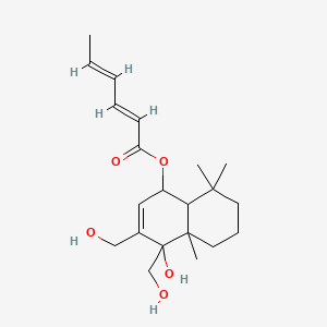 molecular formula C21H32O5 B8257732 [4-hydroxy-3,4-bis(hydroxymethyl)-4a,8,8-trimethyl-5,6,7,8a-tetrahydro-1H-naphthalen-1-yl] (2E,4E)-hexa-2,4-dienoate 