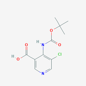 molecular formula C11H13ClN2O4 B8258451 4-Tert-butoxycarbonylamino-5-chloro-nicotinic acid 