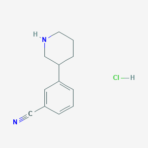 molecular formula C12H15ClN2 B8259109 3-(Piperidin-3-yl)benzonitrile hydrochloride 