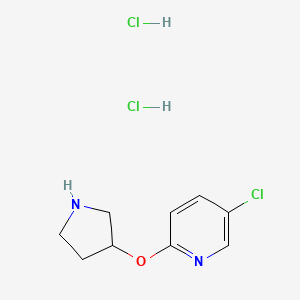 molecular formula C9H13Cl3N2O B8259136 5-Chloro-2-(pyrrolidin-3-yloxy)pyridine dihydrochloride 