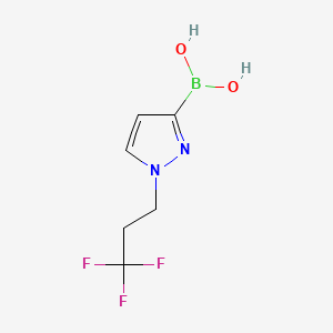 molecular formula C6H8BF3N2O2 B8260058 1-(3,3,3-Trifluoropropyl)pyrazole-3-boronic Acid 