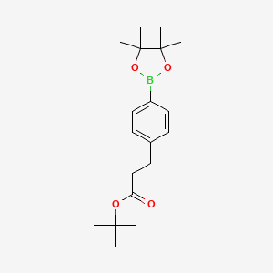 molecular formula C19H29BO4 B8260194 Tert-butyl 3-[4-(tetramethyl-1,3,2-dioxaborolan-2-yl)phenyl]propanoate 