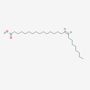 molecular formula C25H48O2 B8261061 16Z-pentacosenoic acid 