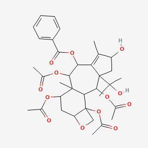 molecular formula C35H44O13 B8261446 [2,9,11,16-Tetraacetyloxy-5-hydroxy-3-(2-hydroxypropan-2-yl)-6,10-dimethyl-14-oxatetracyclo[8.6.0.03,7.013,16]hexadec-6-en-8-yl] benzoate 