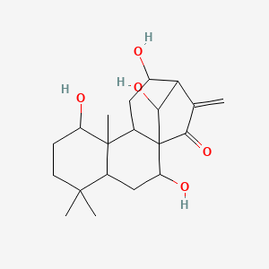 molecular formula C20H30O5 B8261685 2,8,12,16-Tetrahydroxy-5,5,9-trimethyl-14-methylidenetetracyclo[11.2.1.01,10.04,9]hexadecan-15-one 
