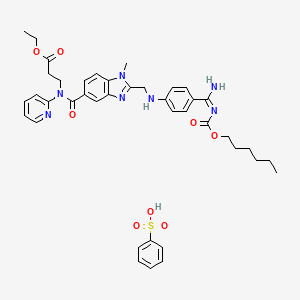 molecular formula C40H47N7O8S B8262406 benzenesulfonic acid;ethyl 3-[[2-[[4-[(E)-N'-hexoxycarbonylcarbamimidoyl]anilino]methyl]-1-methylbenzimidazole-5-carbonyl]-pyridin-2-ylamino]propanoate 
