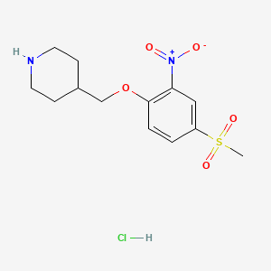 molecular formula C13H19ClN2O5S B8263030 4-((4-(Methylsulfonyl)-2-nitrophenoxy)methyl)piperidine hydrochloride 