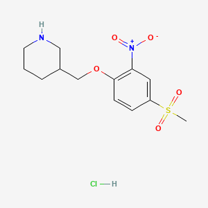 molecular formula C13H19ClN2O5S B8263036 3-((4-(Methylsulfonyl)-2-nitrophenoxy)methyl)piperidine hydrochloride 