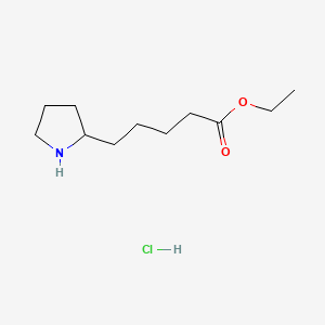 molecular formula C11H22ClNO2 B8265215 Ethyl 5-(pyrrolidin-2-yl)pentanoate hydrochloride 