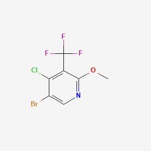 molecular formula C7H4BrClF3NO B8266384 5-Bromo-4-chloro-2-methoxy-3-(trifluoromethyl)pyridine 