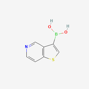 molecular formula C7H6BNO2S B8268404 Thieno[3,2-c]pyridin-3-ylboronic acid 