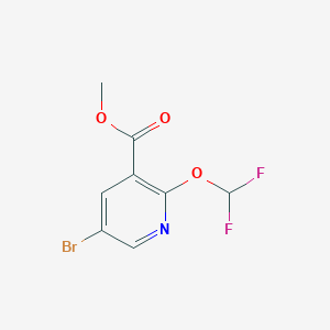 molecular formula C8H6BrF2NO3 B8268921 Methyl 5-bromo-2-(difluoromethoxy)pyridine-3-carboxylate 
