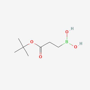 molecular formula C7H15BO4 B8269442 [3-(叔丁氧基)-3-氧代丙基]硼酸 