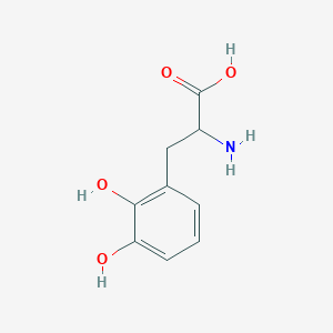 molecular formula C9H11NO4 B8271294 2-amino-3-(2,3-dihydroxyphenyl)propanoic Acid CAS No. 28095-48-9