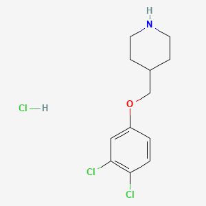 molecular formula C12H16Cl3NO B8271332 4-[(3,4-Dichlorophenoxy)methyl]piperidine HCl CAS No. 553631-65-5