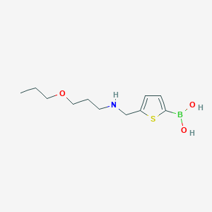 [5-({[3-(Propyloxy)propyl]amino}methyl)-2-thienyl]boronic acid