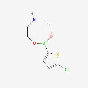 molecular formula C8H11BClNO2S B8274175 2-(5-Chlorothiophen-2-yl)-[1,3,6,2]dioxazaborocane 
