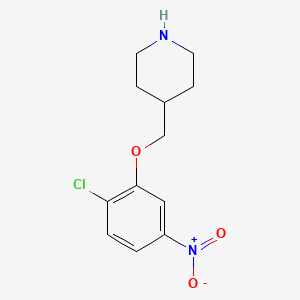 4-(2-Chloro-5-nitro-phenoxymethyl)-piperidine